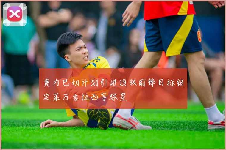 费内巴切计划引进顶级前锋目标锁定莱万吉拉西等球星