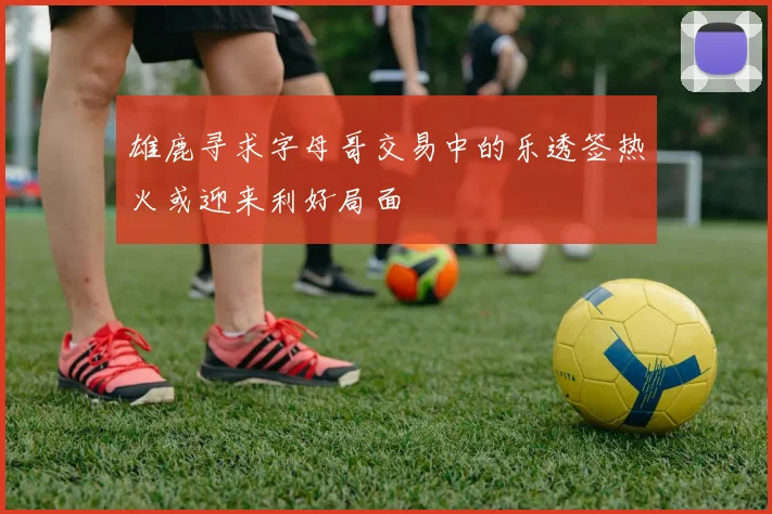 雄鹿寻求字母哥交易中的乐透签热火或迎来利好局面